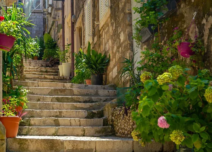 Old Town House With Floor Heating & Lush Private Garden